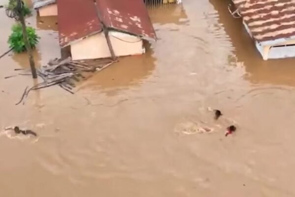 Hohoe MP Says Rain Falling in Togo Is Pushing Floodwaters Into His Constituency