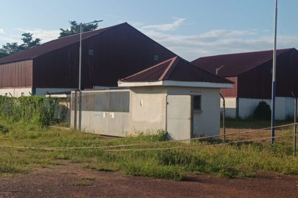 GH¢7.2m Rice Mill At Nkrankwanta Sits Idle As Paddy Supply Dries Up