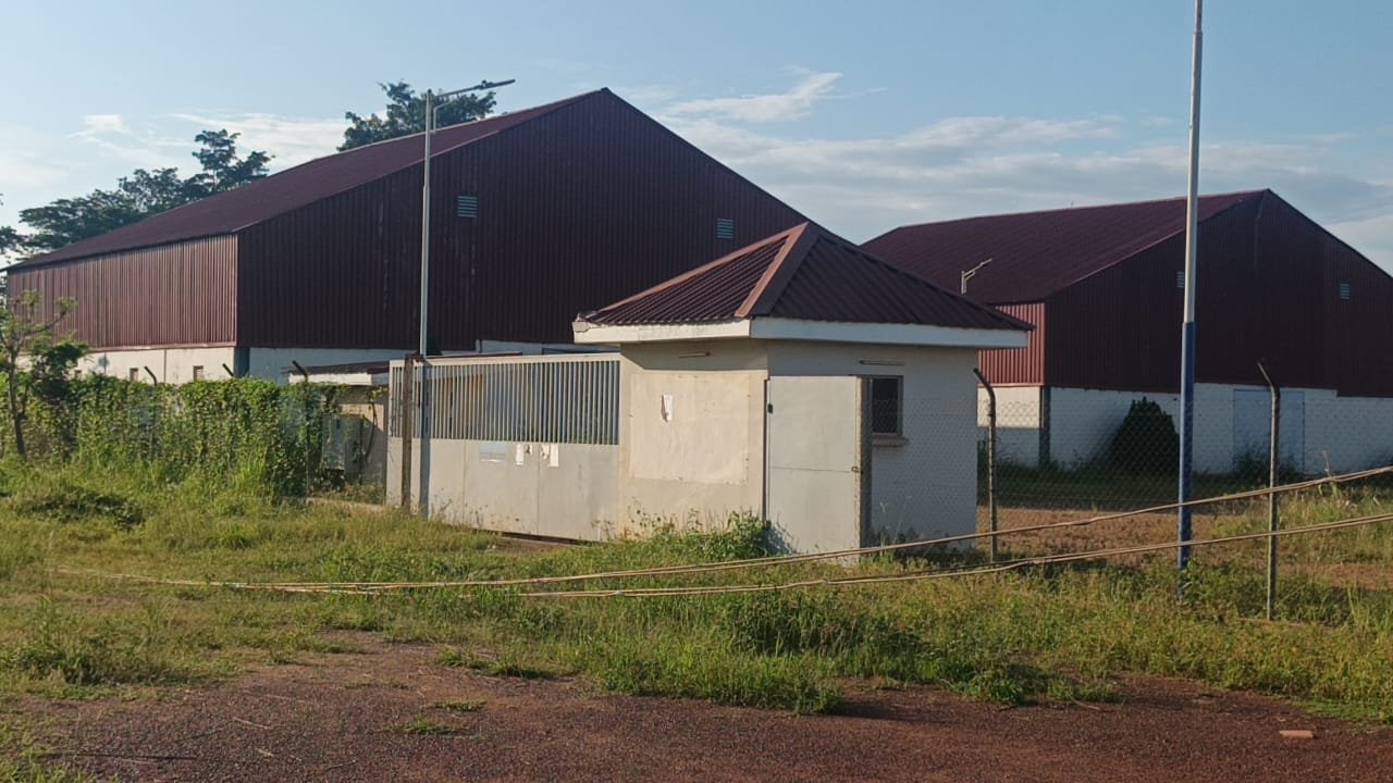 GH¢7.2m Rice Mill At Nkrankwanta Sits Idle As Paddy Supply Dries Up