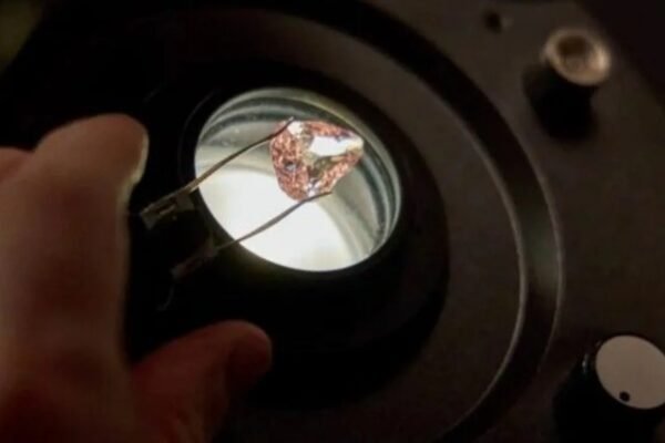 Pink Diamond Stolen in an Apple Returns to Public View in France