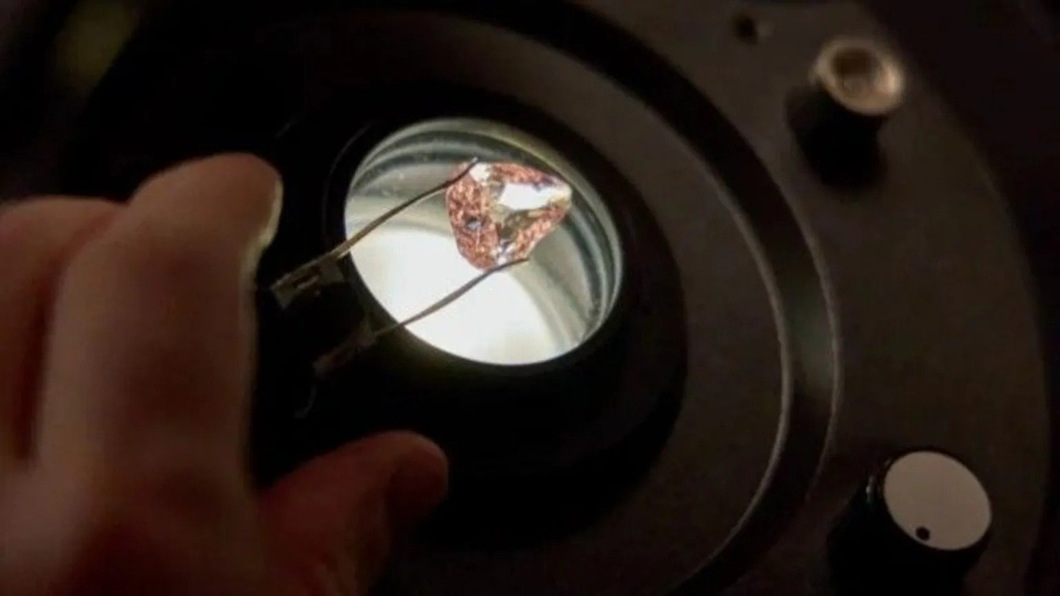 Pink Diamond Stolen in an Apple Returns to Public View in France