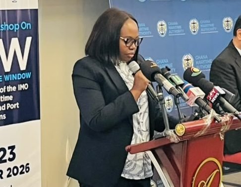 IMO Warns African Ports Risk Digitising Old Delays Instead of Fixing Them