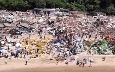 Beach Clubs Flattened At La As MP Says Government Was Not Told
